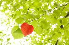 Insight-Out Solutions   Blog #7 for Friday, October 20, 2017