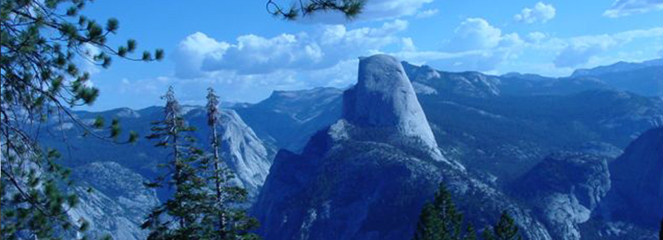 Insight-Out Solutions Blog #25 for Friday, March 2, 2018