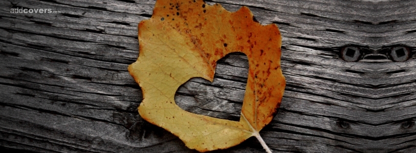 Insight-Out Solutions   Blog #6 for Friday, October 13, 2017